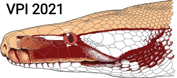 20201225_175519 BLOOD PYTHON 2021 12262020_1.jpg